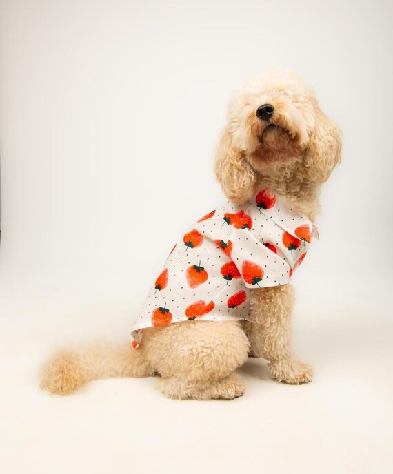 Camisa de fresa para perro, ropa de verano para mascotas, traje