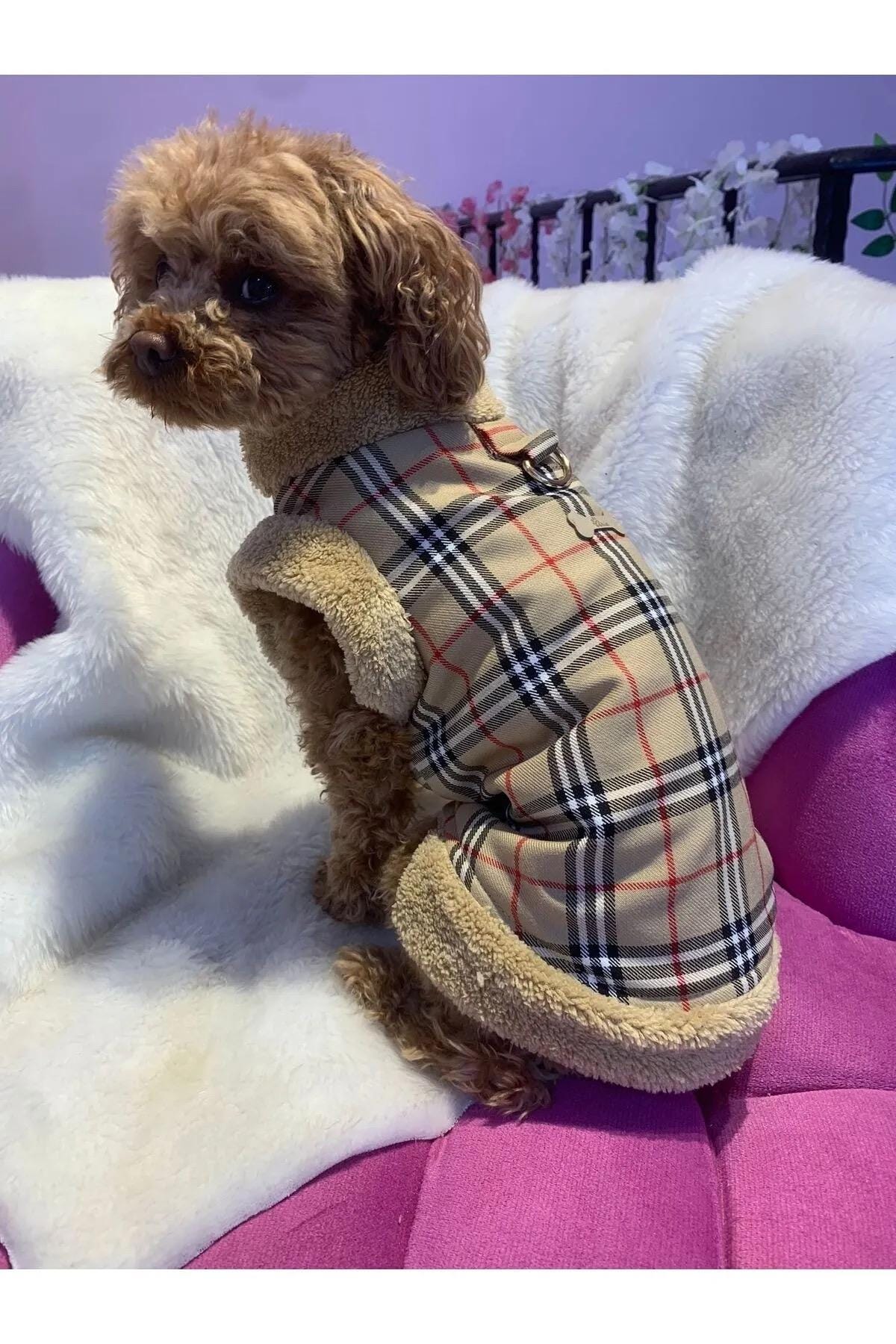 Burberry dog coat - Etsy 日本