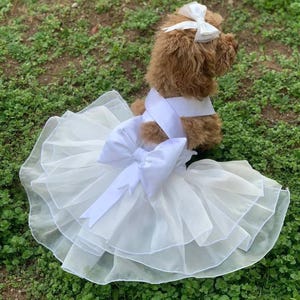 白いペット用ウェディングドレス - リボン付きチュールドッグチュチュ - 小型犬・猫用エレガントなブライダル衣装