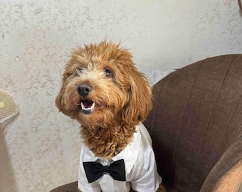 Dog Wedding Tuxedo: White Formal Pet Shirt with Black Bowtie