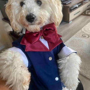 Elegant Navy Blue Dog Tuxedo: Formal Pet Wedding Suit with Red Bowtie