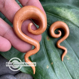 Dilatadores de oreja en espiral de 8 g, 6 g, 4 g, 2 g, 0 g, 00 g y más