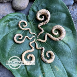 Alargadores de orelha espiral 8g 6g 4g 2g 0g 00g e mais