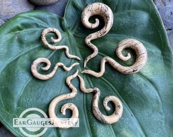 Ear Gauges Spiral 8g 6g 4g 2g 0g  00g and more