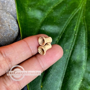 May include: A pair of wooden ear gauges with a natural wood grain pattern. The gauges are a light brown color and have a flared shape.
