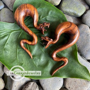 May include: Two wooden dragon-shaped ear gauges, carved from dark brown wood, are displayed on a green leaf. The gauges are designed to stretch the earlobe.