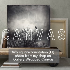 Any square photo Canvas Gallery Wrap, Wall Fine Art, gothic art Canvas Print, canvas, home decor, photograph, halloween witch forest moon image 1