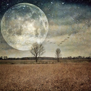 Imminent PRINT - full super moon art photo, surreal moon landscape trees, home decor, farm autumn, supermoon birds night sky astrology