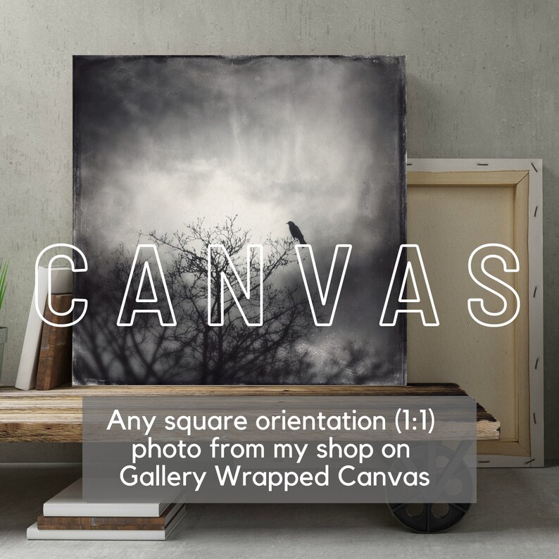 Any square photo Canvas Gallery Wrap, Wall Fine Art, gothic art Canvas Print, canvas, home decor, photograph, halloween witch forest moon image 1