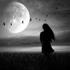 Mercury Retrograde photo, surreal landscape home decor night sky astrology black white cosmic dark moody haunting spiritual birds flying