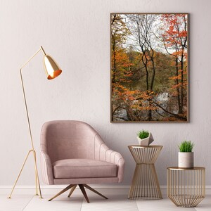 Rumination PRINT Autumn fall colors photo bare tree branches, home decor wall art photograph Ontario cottage orange October nature leaves image 2