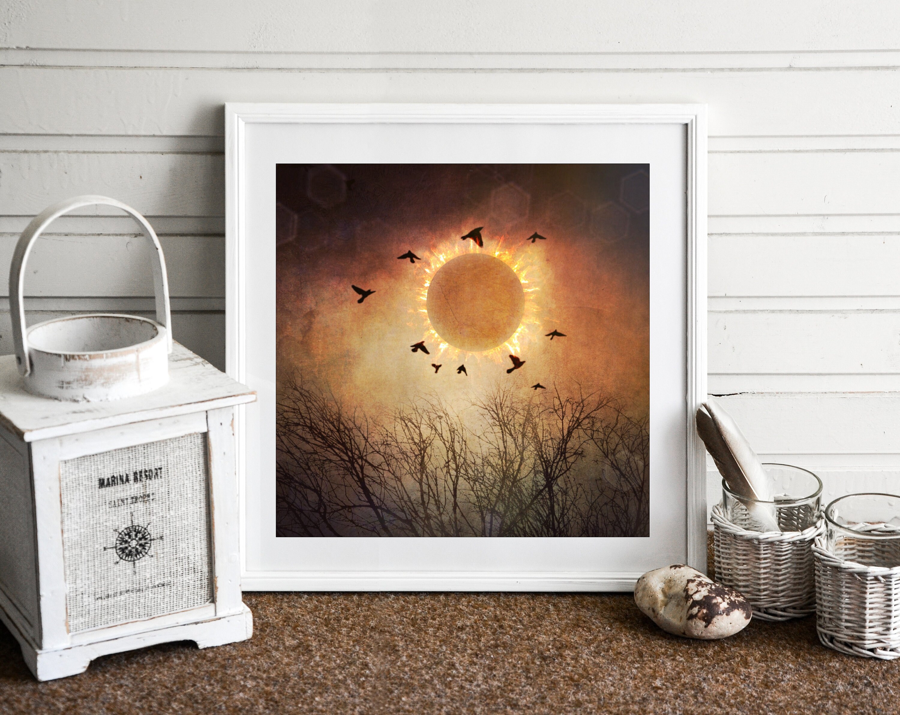 2017 Solar Eclpise - Eclipse Photography - Total Ecplise - Great American Eclipse - Solar Eclipse Solar Flares - Oregon - 20 X 20 - Prints