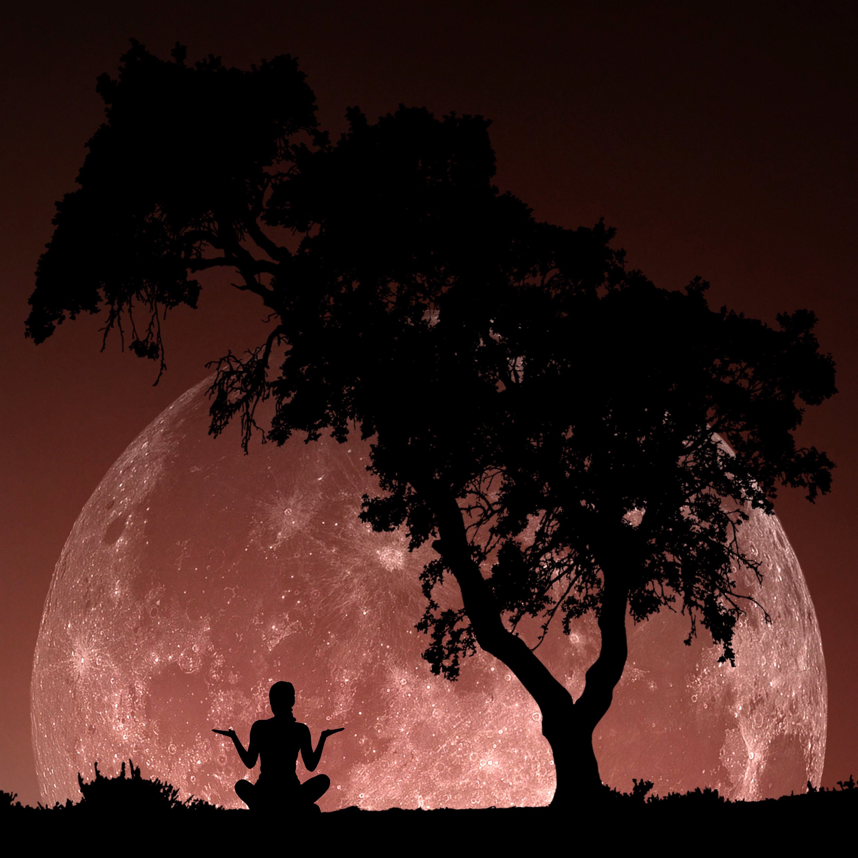 moon 額縁セット il_fullxfull.3105162114_6jlb.jpg