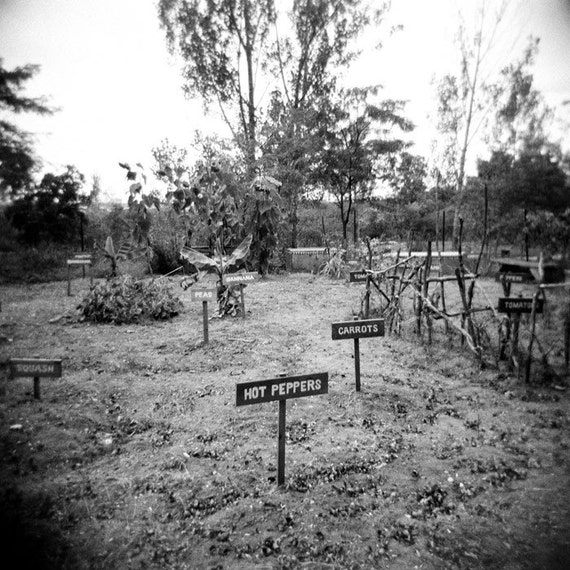 Garden Photo Vegetable Signs Black And White Landscape Etsy