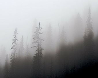 The Dark Forest PRINT - Forest Fog Tree Photo Nature Photography Home Decor foggy pine tree, surreal haunting spooky landscape gothic goth