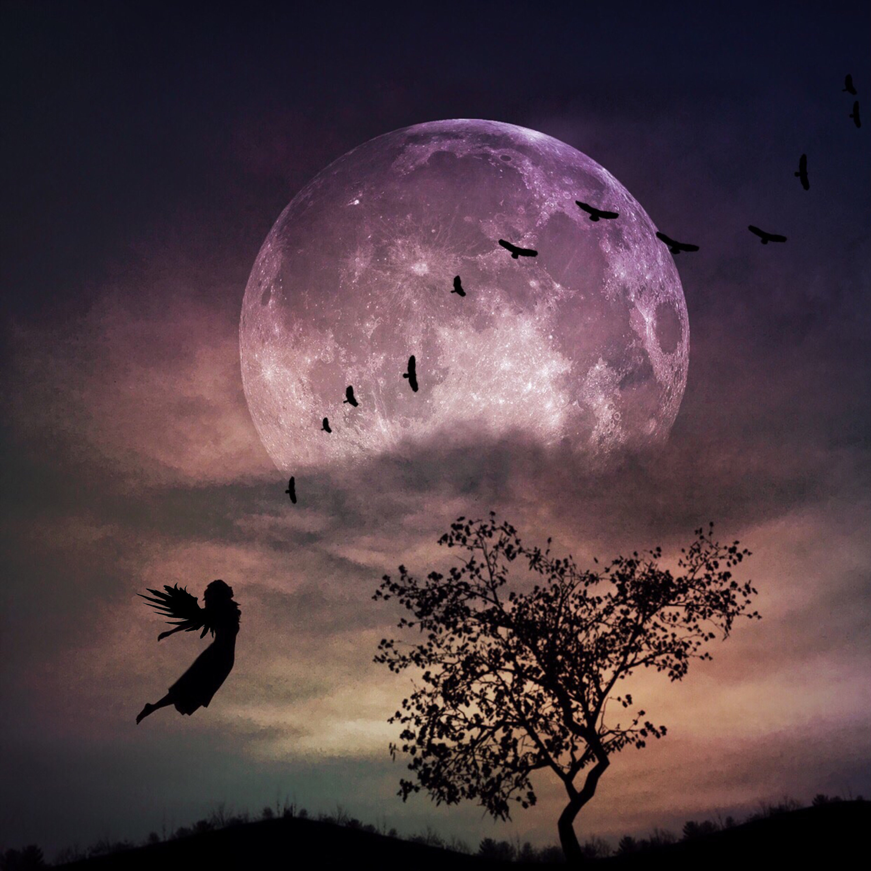 Time to Fly PRINT - Full Super Moon Photo, Surreal Landscape