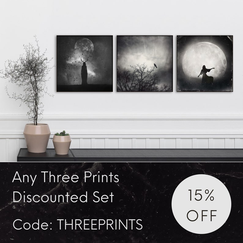 May include: Three black and white photographs of a moonlit scene with a woman, a deer, and a crow. The text "Any Three Prints Discounted Set Code: THREEPRINTS 15% OFF" is at the bottom of the image.