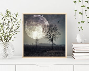 芸術写真 Nature Photograph Full Moon Art Print fbsD_5O9AotoCgpczAe-ezL-