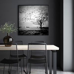 Metamorphosis dramatic tree photo PRINT, fine art decor birds flying dark nature moody landscape surreal dreamy growth transformation goth image 3