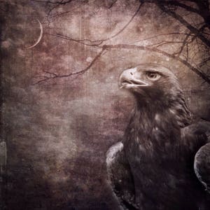 May include: A close-up of a brown eagle against a dark background. The eagle is looking upwards and to the right. The background is a textured, faded brown with a crescent moon in the top left corner.