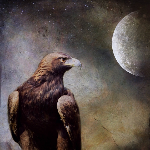 Hawk Full Moon Photograph, Spirit Animal Bird Raptor Eagle Photo