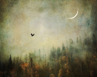 Autumn Mysteries PRINT - Surreal Forest Fog Photograph crescent moon bird flying tree Photo nature raven Decor foggy ethereal landscape art