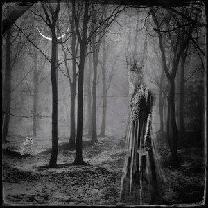 Standing at the Veil PRINT - new moon photo goddess surreal gothic samhain spooky spirit dark art woman ghost mood haunted forest witch goth