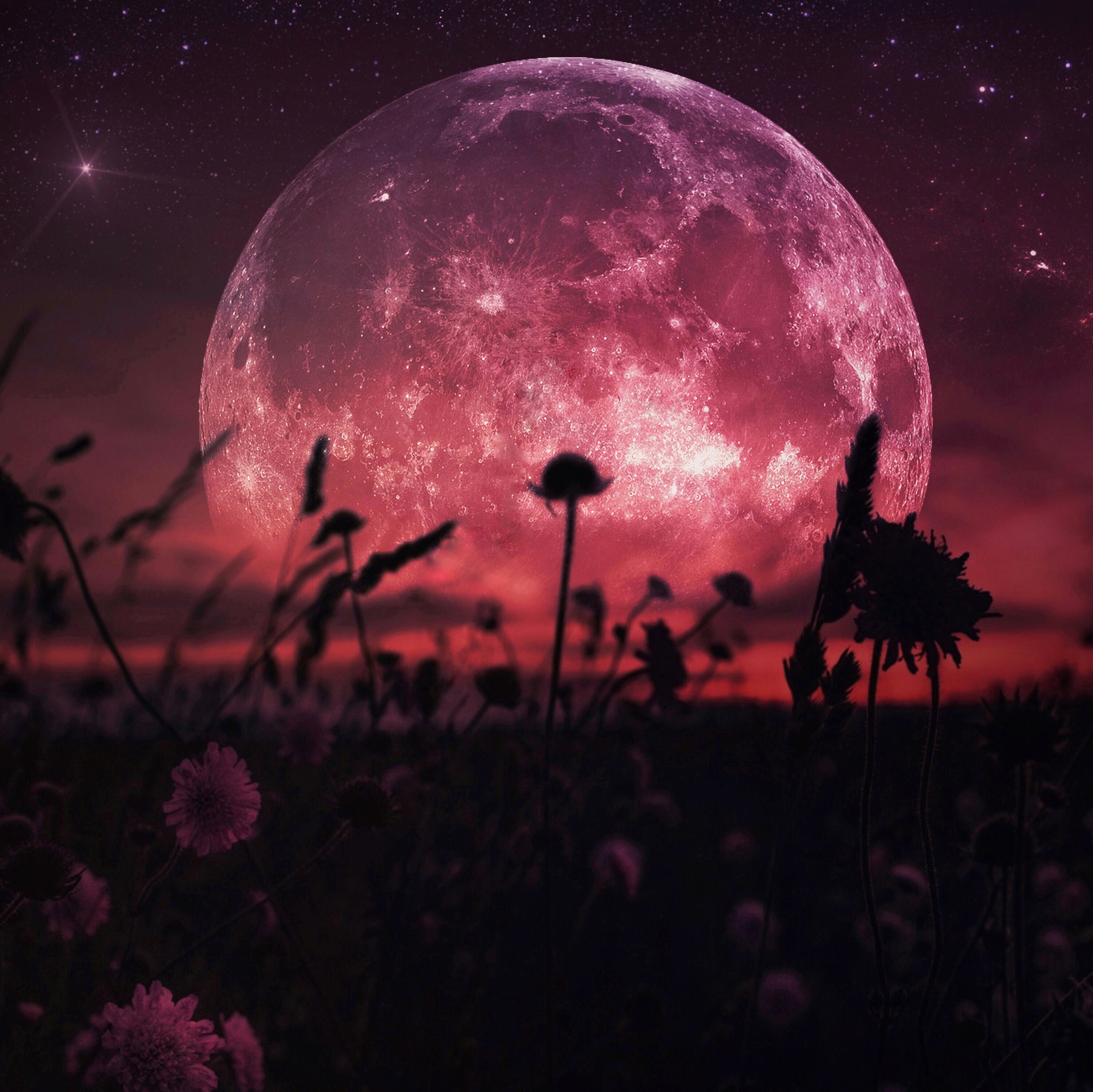 Budding Moon PRINT - Full Moon Photo Surreal Landscape Blood
