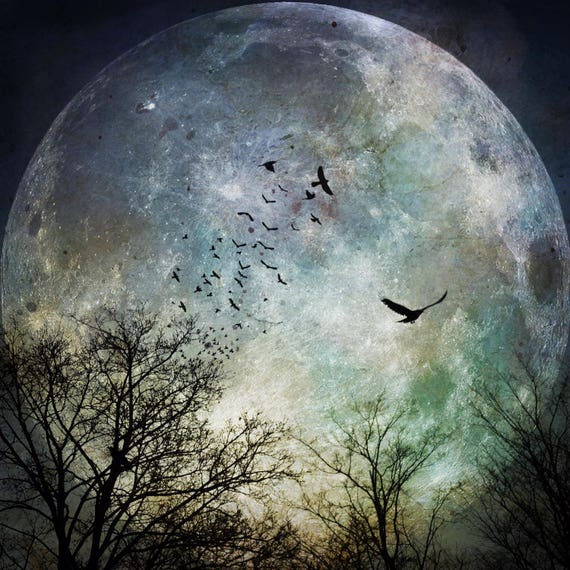芸術写真 Nature Photograph Full Moon Art Print Solstice Moon PRINT - Full Moon Bare Tree Branch Photo, Black and