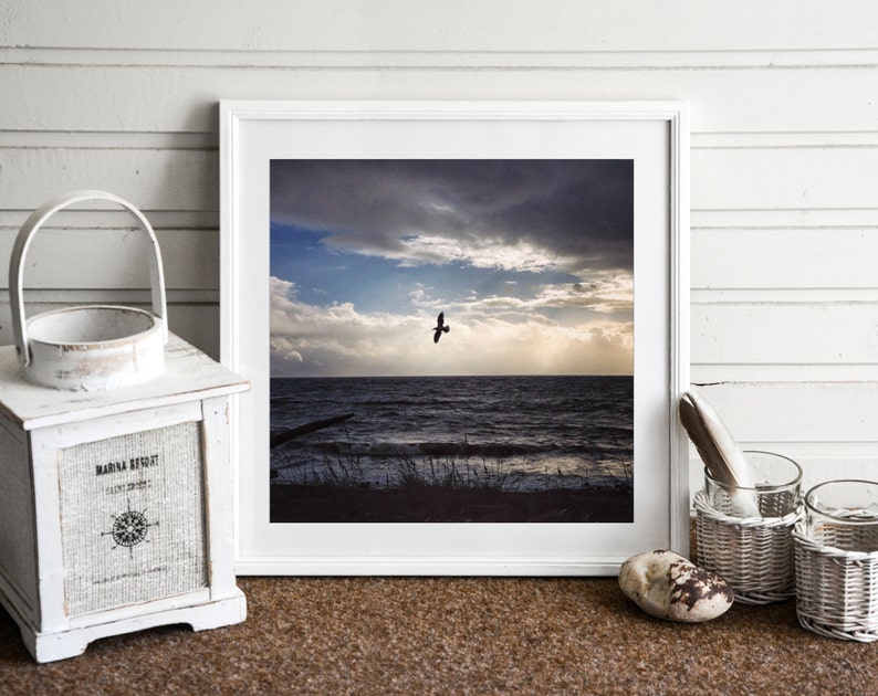 bird flying bedroom decor ocean photography beach decor landscape photo seascape photo Beach photography ocean shore decor seagull