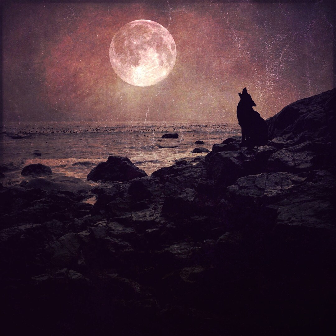 Full Wolf Moon PRINT Fine Art Photo Howling Landscape Photography