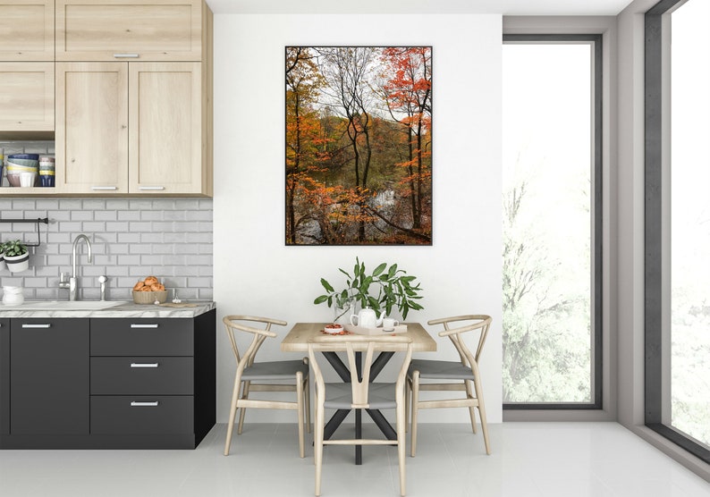 Rumination PRINT Autumn fall colors photo bare tree branches, home decor wall art photograph Ontario cottage orange October nature leaves image 4