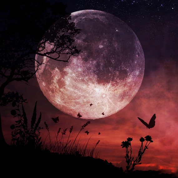 Flower Moon PRINT - Full Super Moon Photo, Surreal Landscape Fine