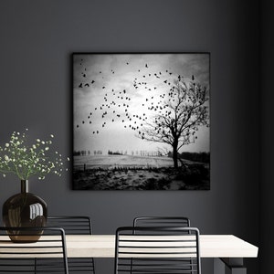 Metamorphosis dramatic tree photo PRINT, fine art decor birds flying dark nature moody landscape surreal dreamy growth transformation goth image 2