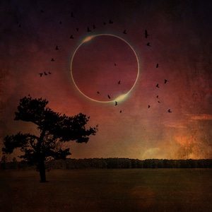 Peut inclure: Une silhouette sombre d'un arbre se dresse dans un champ sur fond de coucher de soleil rouge et orange. Un anneau de lumière entoure le soleil, créant un effet d'éclipse solaire. Des silhouettes d'oiseaux volent dans le ciel.