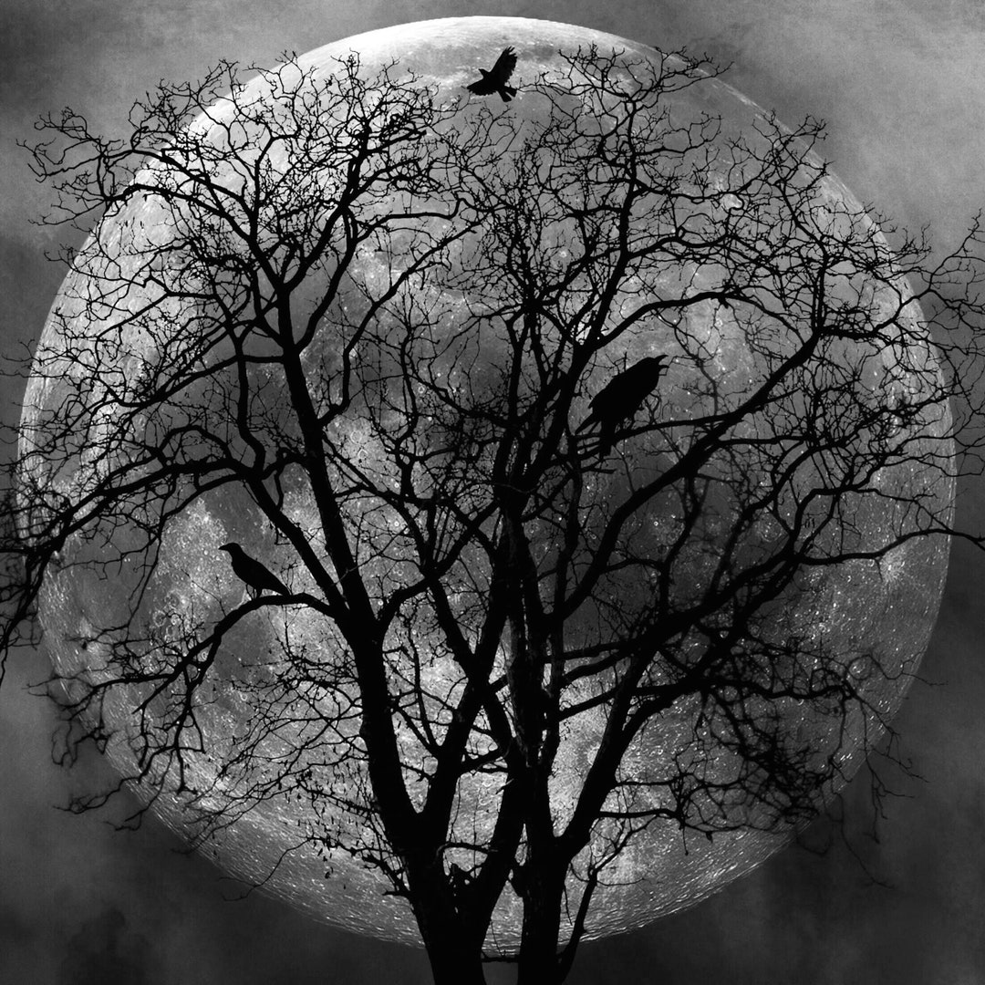 October Moon PRINT - Full Super Moon Photo Surreal Bare Tree Birds