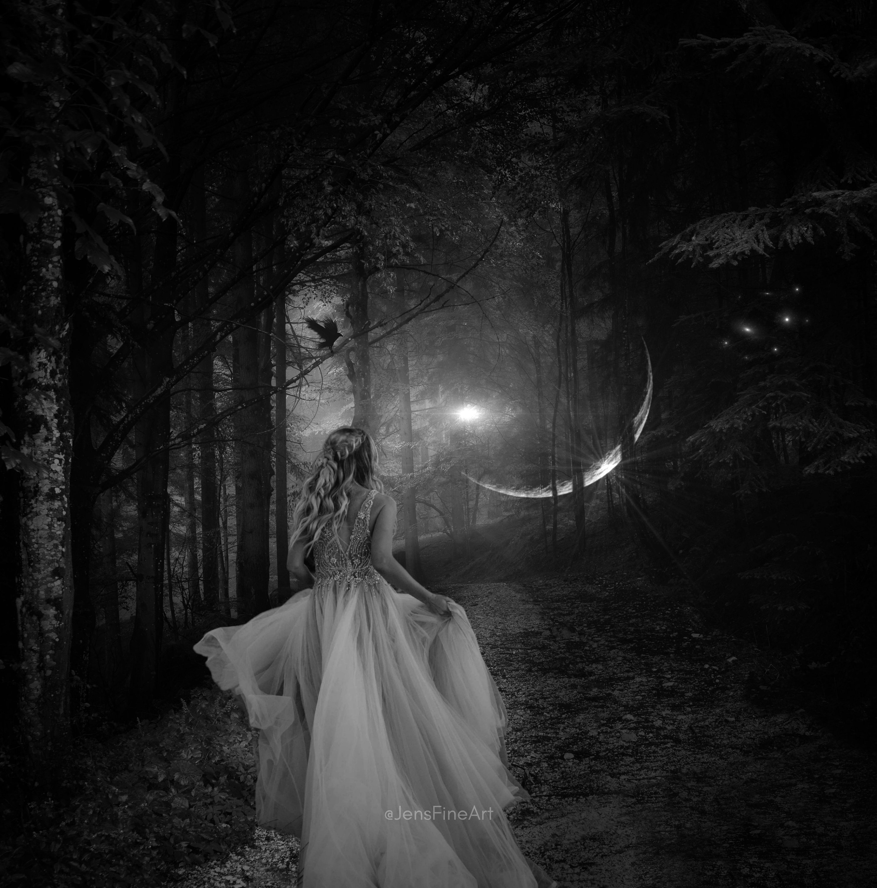 Call of the Moon PRINT - Full Moon Witch Photo Birds Forest