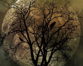 October Moon PRINT - full super moon photo, surreal tree birds home autumn crow raven spirit animal gold astrology goth gothic art witch