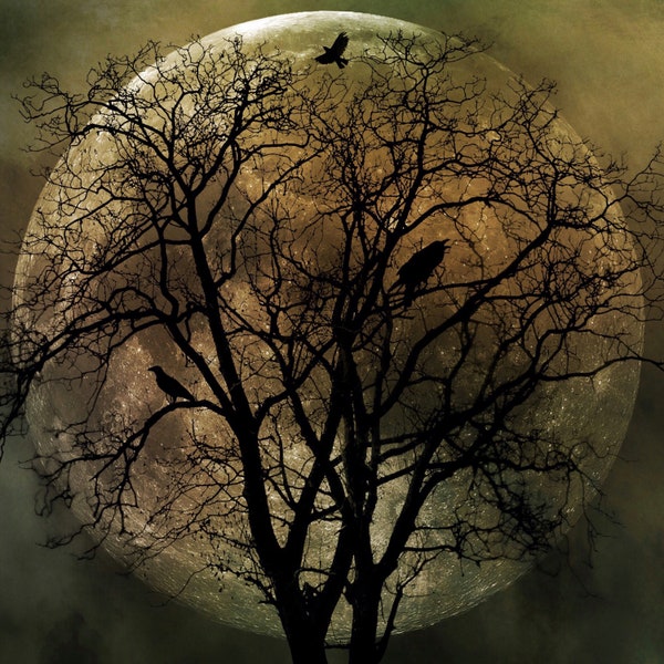 October Moon PRINT - full super moon photo, surreal tree birds home autumn crow raven spirit animal gold astrology goth gothic art witch