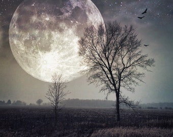 芸術写真 Nature Photograph Full Moon Art Print il_340x270.1691267292_q2mo.jpg