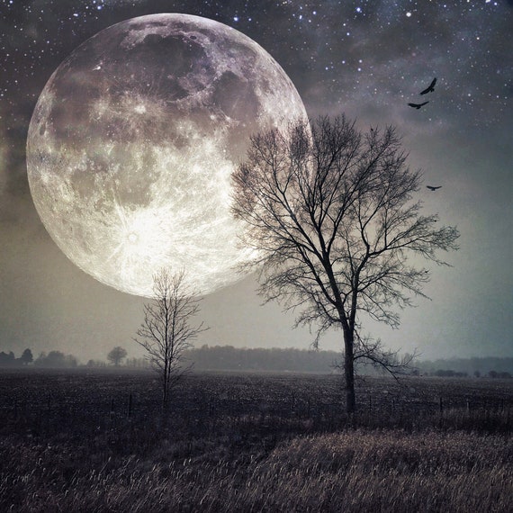 代引き手数料無料 The Tree Surreal Photo, Art Moon Super Full - PRINT Shift その他