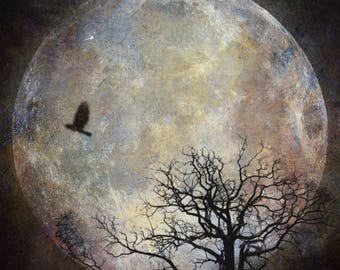 Dreams of the Night PRINT full super moon photo, surreal landscape art photograph tree bird home decor crow raven astrology gothic supermoon