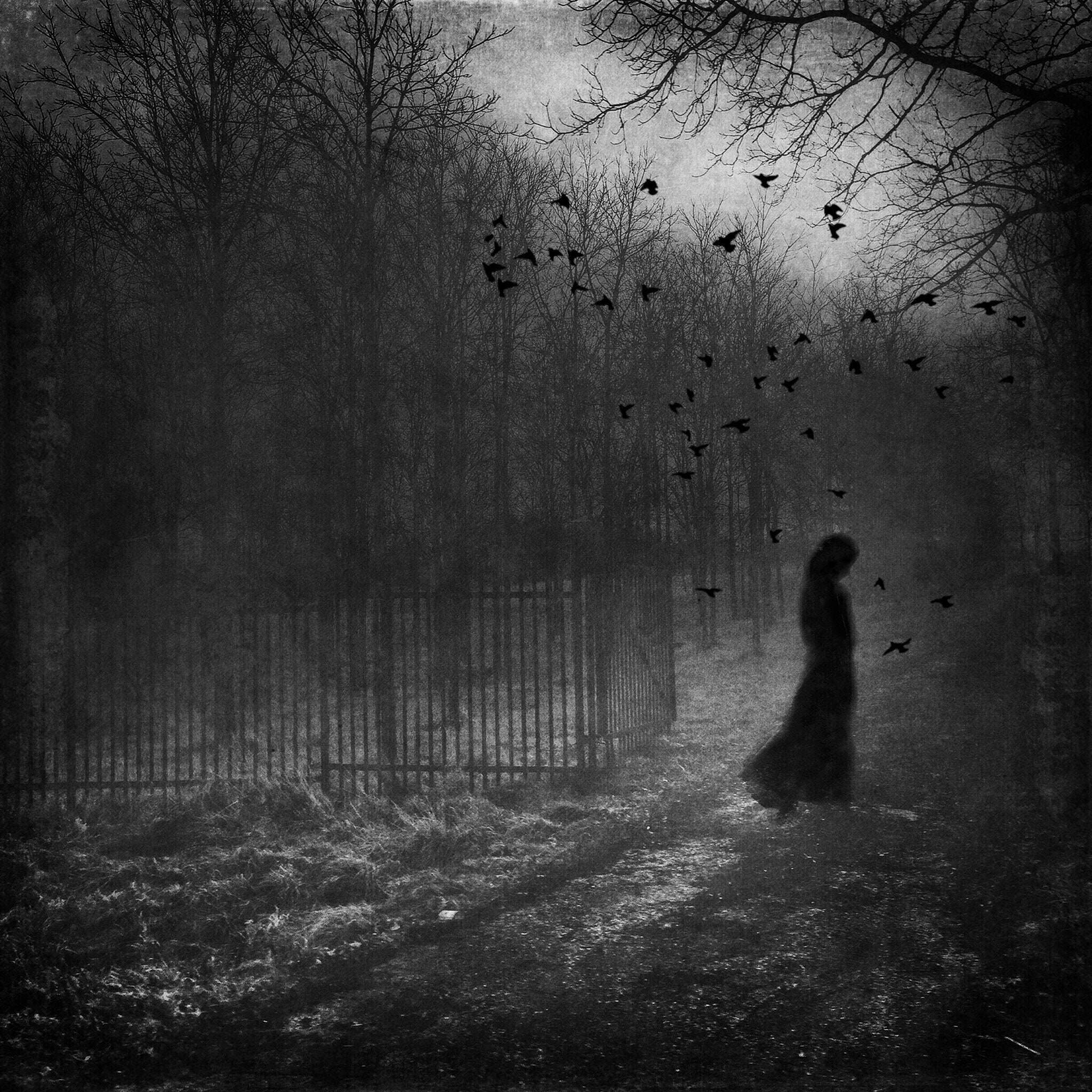 The Impossible Path PRINT - Surreal Haunting Portrait, Dreamy