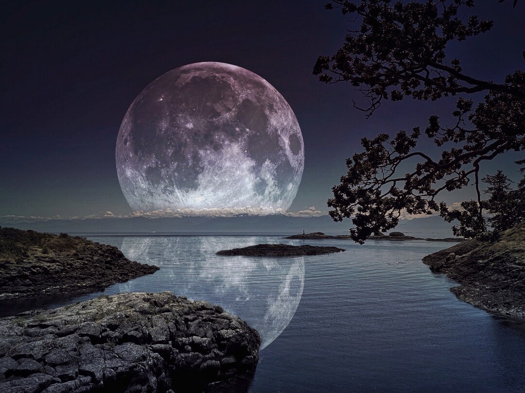 芸術写真 Nature Photograph Full Moon Art Print Nature Photograph Full Moon Art Print