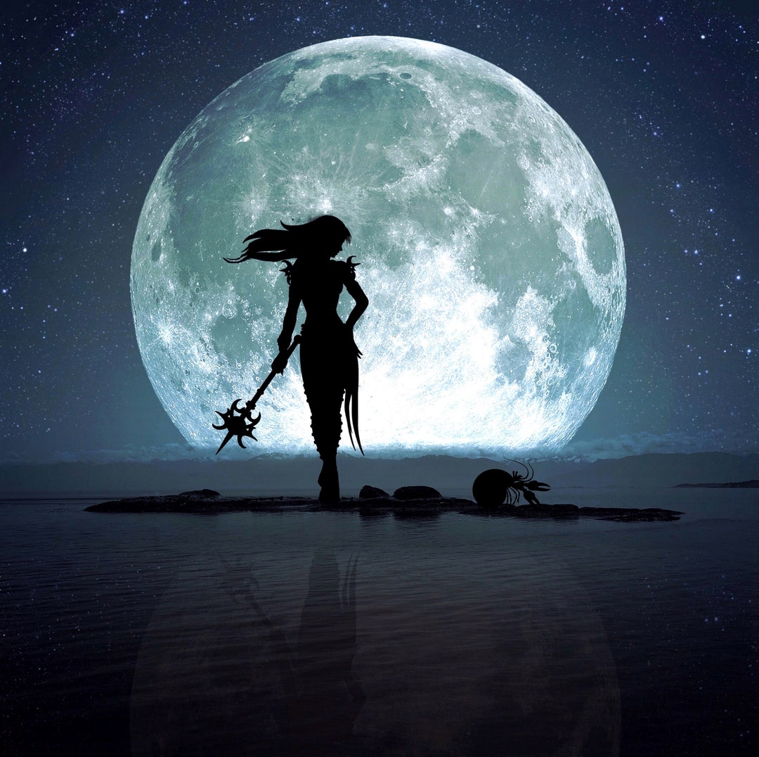 芸術写真 Nature Photograph Full Moon Art Print 46d81007-8553-460a-9fbe-