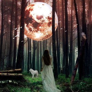 Woodland Dreams PRINT - full super moon photo virgo, surreal landscape fine art fantasy forest woman girl astrology earth sign animals witch