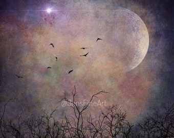 Trust in New Beginnings PRINT - Full moon photo tree birds wall art crescent half moon astrology starry sky pagan landscape capricorn witch