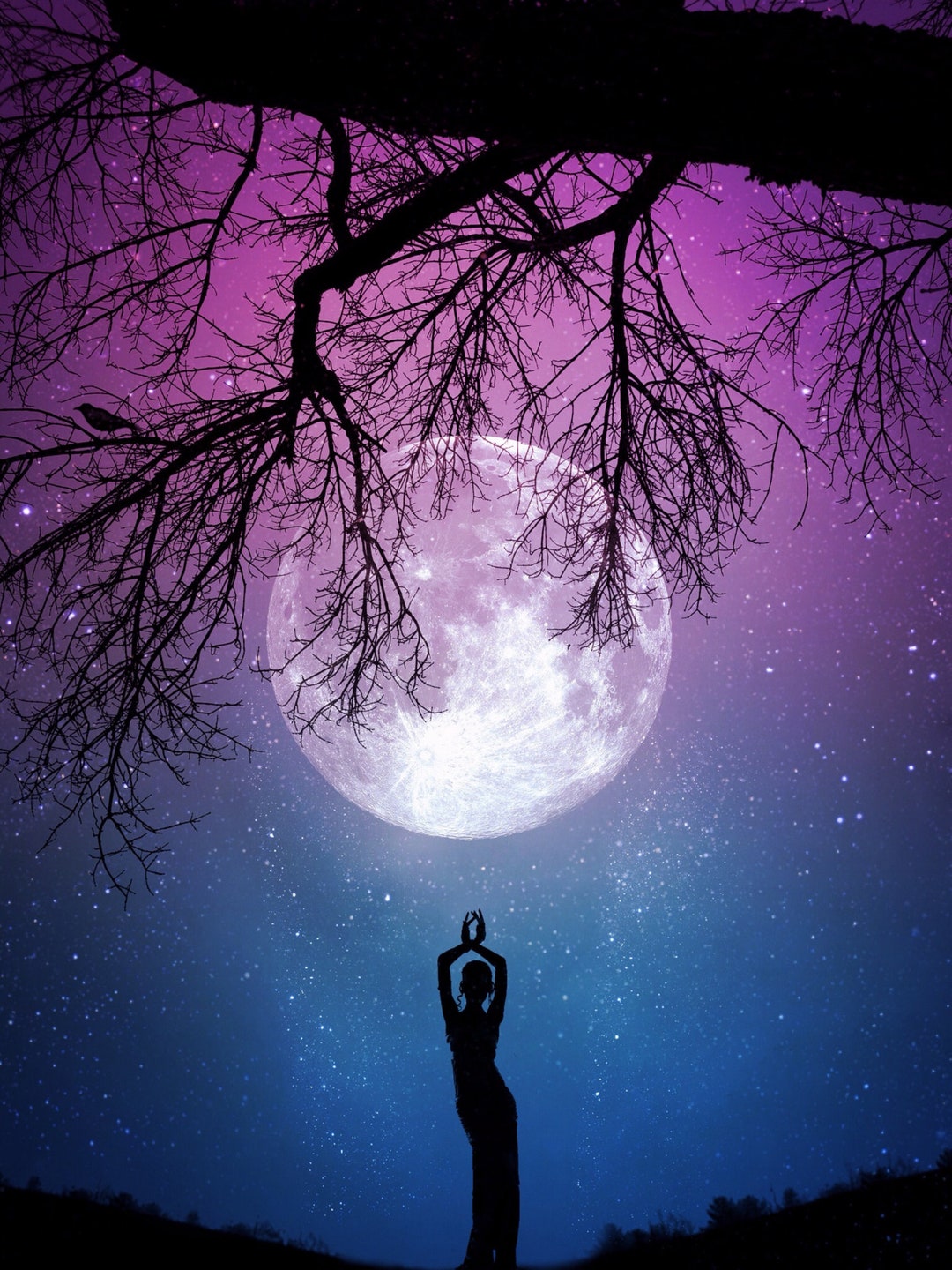 芸術写真 Nature Photograph Full Moon Art Print il_340x270.1691267292_q2mo.jpg