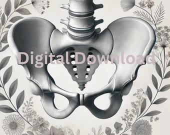Realistic Female Pelvis Art with Delicate Floral Border – Printable 600 DPI Download