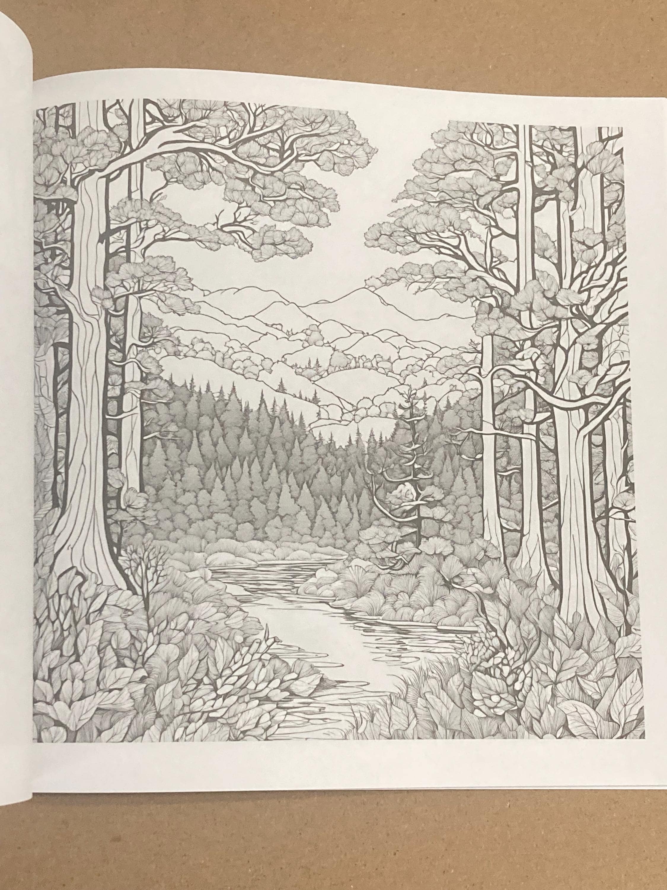 Relaxing Landscapes Coloring Book for Adults | Nature Scenes, Mountains ...